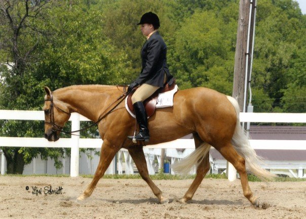 Clean saddles not only look pretty, but they stay functional.