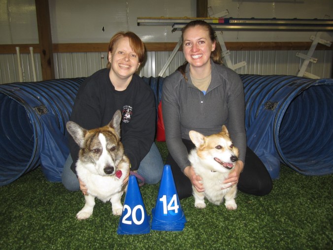 My road trip partner in crime, Merinda, and her Cardigan Corgi Porter will be accompanying Dally and I to Harrisburg!