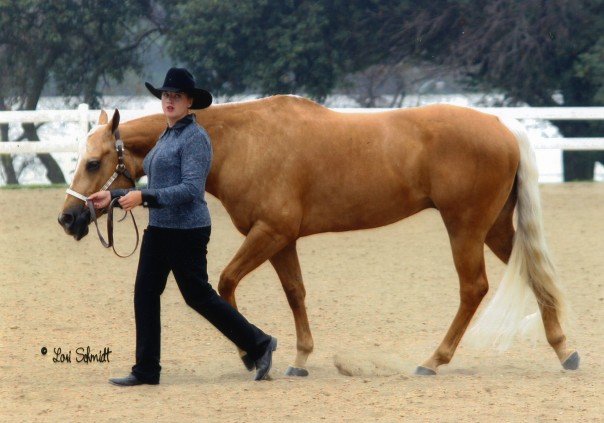 49_508552894279_5645_n