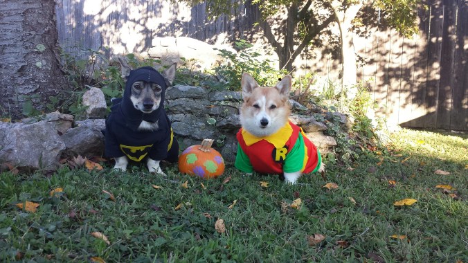 LaMesa & Dally as the Dynamic Duo: Saving the world one chewy at a time!