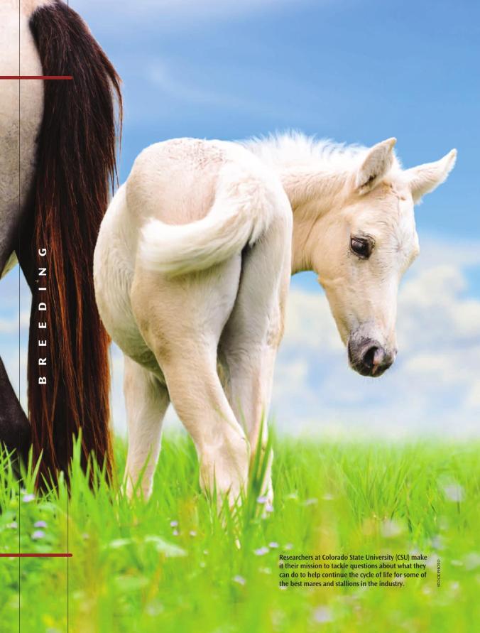 Reproducing Greatness with a Little Help, page 1