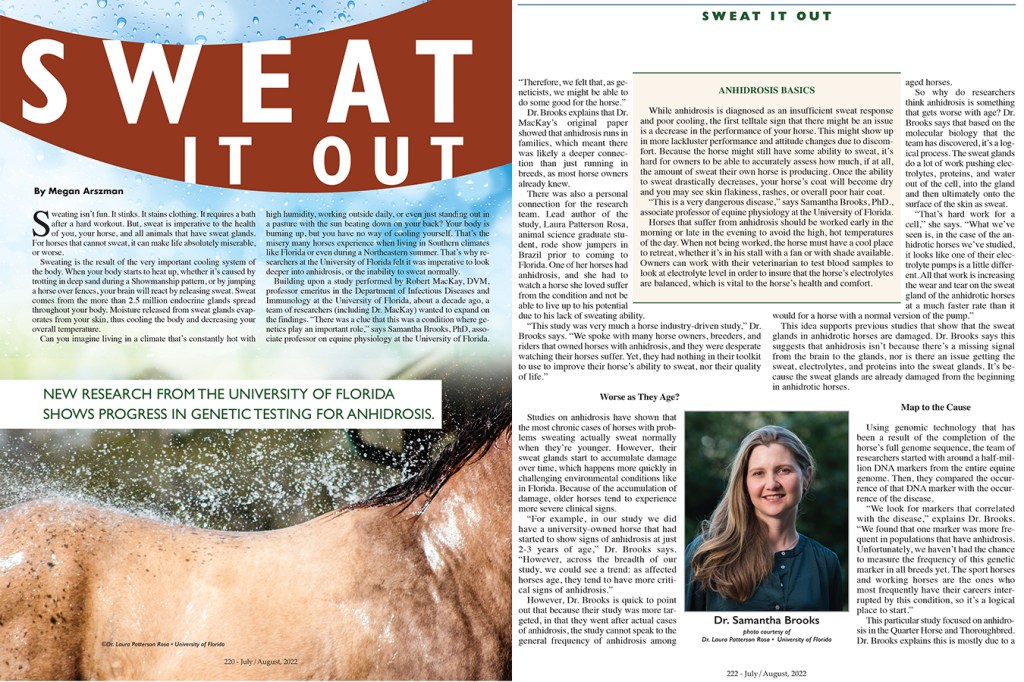 Equine Chronicle article titled Sweat It Out
